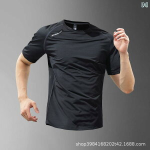 TVc Y jp TCNEFA t  ڐG⊴ z ? gbvX X|[cEFA AEghA