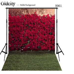 wiz ʐ^X^WIp BewiV[g ؍ ԕ ΂̑n wiz rj[ 150cm×210cm