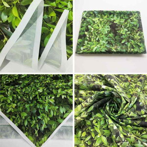 wiz ʐ^Bep |GXe \ EFfBO ^yXg[ CX^f p[eB[ Cxg