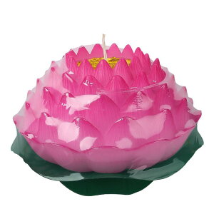 [^X @ Lh 낤 XC @ [\N  nhCh 7 24 ԐF F