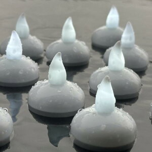 Lh LED ɕ gF F dqLh  炬 h  p[eB[ o[Xf[ }`bN Y v[ C C~l[V Cg  킢