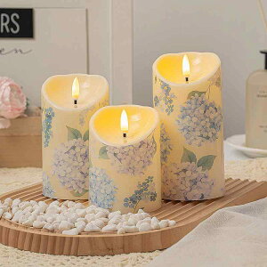 Lh Cg LED 낤 XC ₵ 炬 eB[Cg E\N X C  C~l[V ^  NX}X p[eB[ Cxg ObY CeA