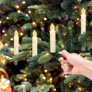 LED Lh Cg 10cm gF ^C}[ R NX}X p[eB[ z[ fR[V