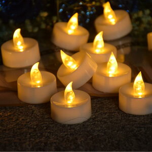 Lh 12Zbg LEDLh eB[Cg  p[eB[ NX}X nEB @pi z[fR[V ~` F gF ┒F F 펞_  ^C}[ 