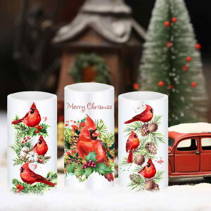 NX}X LEDLh Cg ̌ bho[h ~` 3Zbg p[eB[ Cxg fR[V C~l[V vX`bN