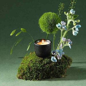 A}Lh fB[X [tOX Mtg 蕨 aj LOi  ₵ bNX D 킢  Q O??