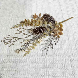 NX}Xc[ I[ig  DIY [bp ڂ vX`bN F fR[V t Cxg p[eB[