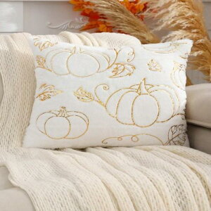 NbVJo[ nEB pvL  k 45×45cm rO Q CeA 킢 ǐF F