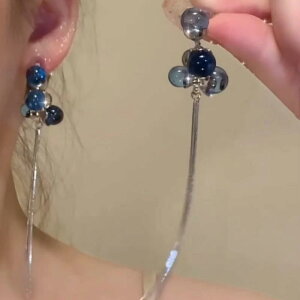 CO fB[X  h ^bZ Vo[ dCbLH AM[Ή ؍ ANZT[ V 킢