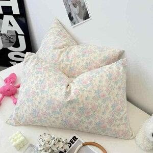 Jo[ 48×74cm yA ԕ K[[ ւ ؍ 킢 |GXe