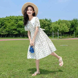 s[X q ̎q ptX[u ԕ AC G   킢 ʊw ig |GXe  a O[ u[ 120 130 140 150 160 170