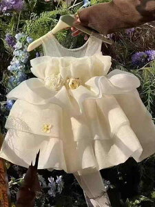 s[X q ̎q  `[XJ[g EGXg؂ւ G hX `[ { ԕ vZXC AC 킢  \ t p[eB[  a 