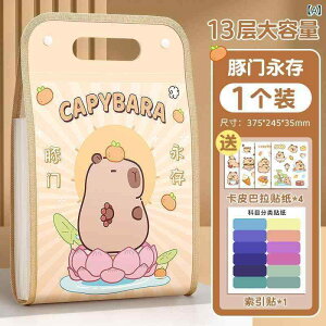 �t�@�C���P�[�X A4 ��e�� �h�L�������g�t�@�C�� ���� ���� ���[ 13�d�؂� �C���f�b�N�X�V�[���t�� �v���X�`�b�N ���킢�� �J�s�o��