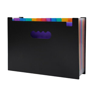 ���[�� �E �X�e�[�V���i���[ 25�d�؂� �h�L�������g�t�@�C�� A4 ��e�� �I�t�B�X �t�@�C���P�[�X �����p�i �w�p�i ���F �C���f�b�N�X