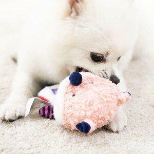 ���p�������� �ʂ������ ���ނ������� ������������ �m�炨������ ���^�� ���^�� ���� �� �K ���q �J�G��