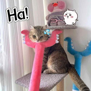 ���p�������� �� �ʂ������ ���ނ������� ���p �_ �V�ѓ��� �X�g���X���� �^���s������ ���^�� ���^�� ��^�� ��v