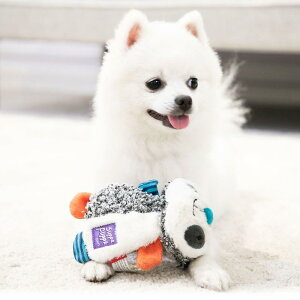 ���p�������� �ʂ������ ���ނ������� ���� �ߋ� �L�c�l �A���C�O�} ���C�I�� �J�G��