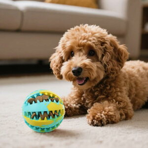  L    ߋ {[ S o[{[ m ߋ {[  {[ Ro a ^s XgX ^ ^ ^ Z^