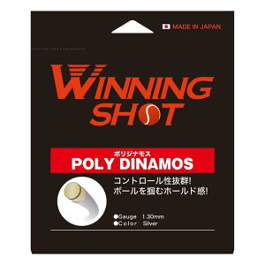 WINNING SHOT (�E�B�j���O�V���b�g) �|���W�i���X(POLY DINAMOS) �P���K�b�g �d���e�j�X �X�g�����O �mM�� 1/2]
