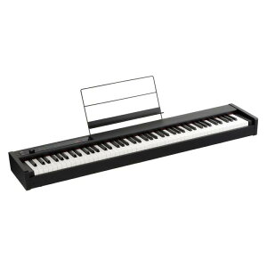 KORG �d�q�s�A�m D1