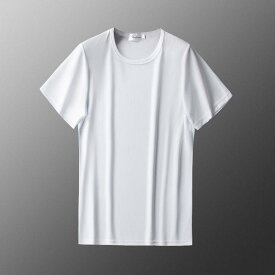 Tシャツ メンズ 半袖 接触冷感 メッシュ トップス 通気性 速乾 ゆったり 大きいサイズ カジュアル スポーツ ウェア 無地 シンプル オールシーズン