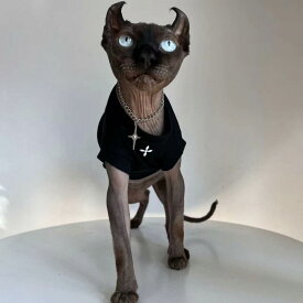 ペット 服 ペットウェア 猫 女の子 男の子 ノースリーブ 袖なし 薄手 無地 高級感 デボンレックス スフィンクス オールシーズン