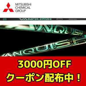 y2025N711IzV OHP~J VANQUISH VV @LbV BB oLbV rr hCo[p DRpy3000~ItN[|zzIz