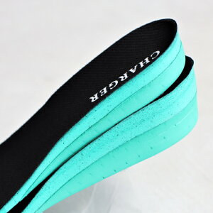 CHARGER �C���\�[�� �`���[�W���[ CHARGER INSOLES �`���[�W���[ �C���\�[�� �V�[�N���b�g �j�����p �u���b�N