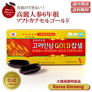 yz/z؍{ lQJvZ 6N KOREA GINSENG 1 e GOLD CAPSULE 120 1 Zk \tgJvZ NlQ ZkGLX WZmTCh ؖYi Ɖu