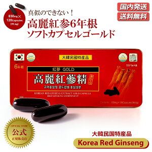 yz/z؍{ gQJvZ 6N KOREA RED GINSENG 1 e GOLD CAPSULE 120 1 Zk \tgJvZ NlQ Zkt WZmTCh ؖYi Ɖu͑