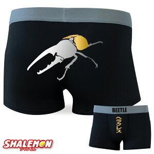  {NT[pc ( wNX ) JugV BEETLE j  } v[g G ObY pc 