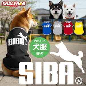 Č  T hbO TVc  ( pTVc Ό SIBA Wv V ) ̕ hbOEFA ybg  Aj} v[g G  dog  