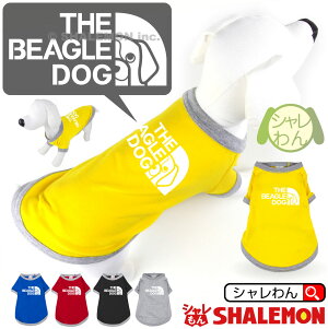 V r[O Aj}  T hbO TVc  ( pTVc r[O tFCX )  v[g G ʂ n[lX    