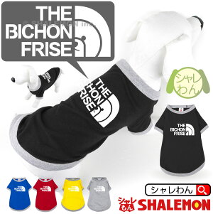 V rV Aj}  T hbO TVc  ( pTVc rVt[[ tFCX )  v[g G ʂ n[lX   V  