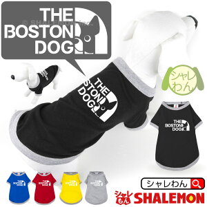 V {XgeA Aj}  T hbO TVc  ( pTVc {Xe tFCX )  v[g G ʂ n[lX    