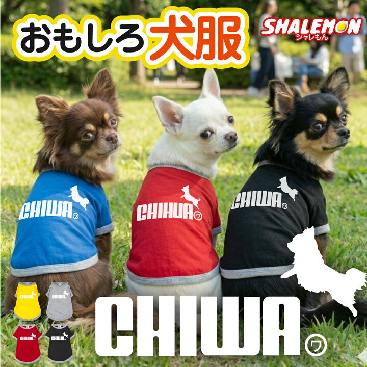 楽天市場】チワワ 犬服 犬T ドッグ Tシャツ ( 犬用Tシャツ シャレわん 