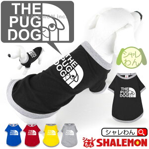 V pO Aj}  T hbO TVc  ( pTVc pO tFCX )  v[g G ʂ n[lX    