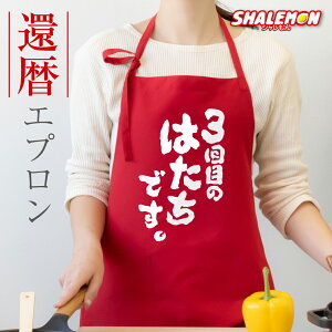 җj Gv   җ  ( 3ڂ̂͂łB ) VL[Gv 60 j a  񂿂񂱂̑ Vv 킢 fB[X ꂳ  c n[