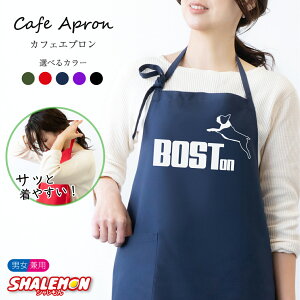 {XgeA Gv {Xe ObY  ( {XgeA Wv IׂJ[ Gv ) ybg G G ObY ObY It  Aj}  