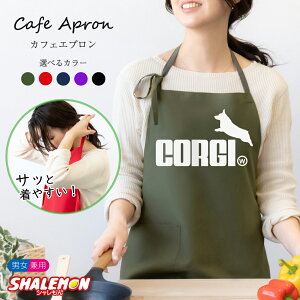 R[M[ Aj}   Gv ( IׂJ[ Gv R[M[ Wv ) Y fB[X ybg ObY G V