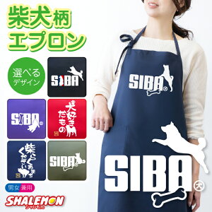 Č Gv ( SIBA Gv IׂJ[ ) hbO  Wv  Lb` G j  v[g gC xbh hbO P[W L[obO   n[lX 