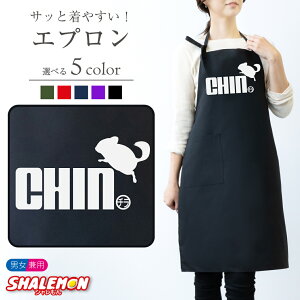 Gv ( `` Wv IׂJ[ )  v[g Y fB[X G ObY  ˂ 