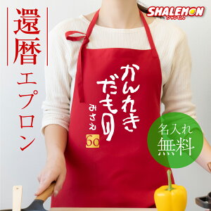 җj   җ ( Gv )( ꂫ )( 60 ) VL[Gv 60 ꂫ a  N jp jZbNX y v[g |bPt 񂿂 ̑ 