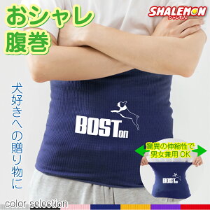 {XgeA ͂܂   Aj} ( {XgeA Wv Iׂ7J[  ) ybg {Xe ObY L[z_[ ʔ lC R 킢 ₦΍ jp ~ 