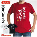 還暦祝い 父 母 ビッグ サイズ 名入れ 還暦 赤い 大きい Tシャツ XXL XXXL 男性 女性 ( かんれきだもの 大きいサイズ )( 60 ) 選べる3色 ちゃんちゃんこ の代わり 60歳 プレゼント 還暦だもの しゃれもん サプライズ