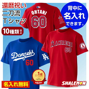 җj   j   җTVc ( җ 񓁗 싅 TVc ) 60 a  o[Xf[ v[g MVP 싅 jtH[ Y fB[X 蕨 Mtg 񂿂 