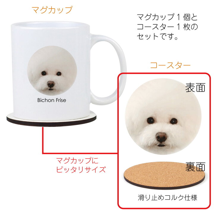 楽天市場 ビション フリーゼ おもしろ 雑貨 グッズ 実用的 プレゼント マグカップ コースター セット ビションフリーゼ 犬 Dog わんちゃん 動物 サプライズ コーヒー 紅茶 カップ しゃれもん シャレもん楽天市場店
