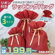 【資材同梱】 ラッピング 袋 巾着 梨地 ギフト袋 プレゼント用袋 ( リボンラッピングバッグ 資材同梱 ) …
