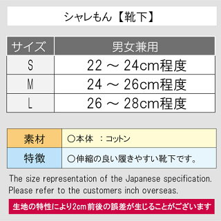 サイズ