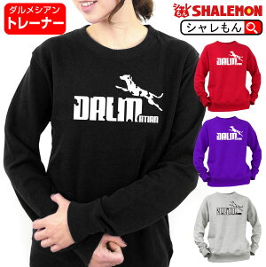 _VA g[i[ Aj} ( _VA Wv Iׂ4J[ )   RXv lC XJ[g n gbvX h ʔ V 